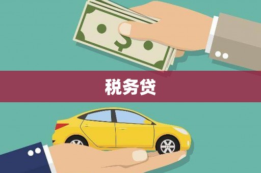 新民税务贷