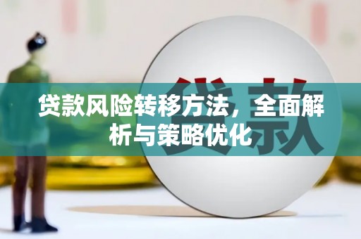 新民贷款风险转移方法，全面解析与策略优化
