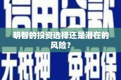 新民明智的投资选择还是潜在的风险？