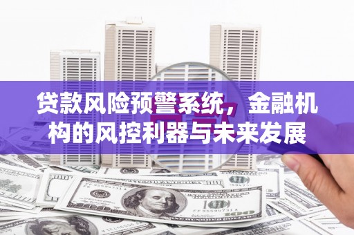 新民贷款风险预警系统，金融机构的风控利器与未来发展