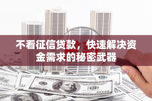 新民不看征信贷款，快速解决资金需求的秘密武器