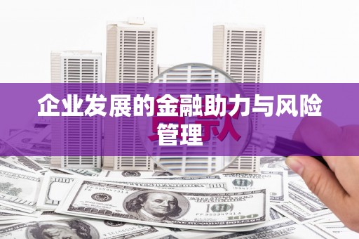 新民企业发展的金融助力与风险管理