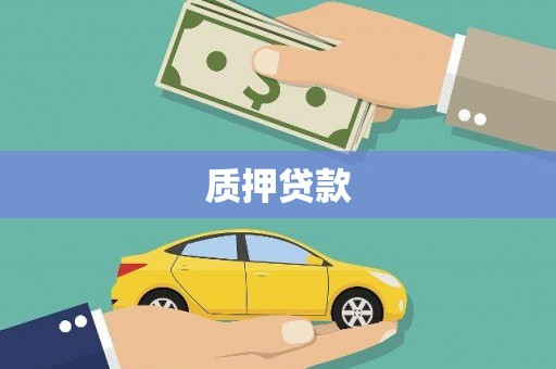 新民质押贷款