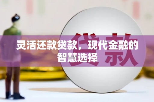 新民灵活还款贷款，现代金融的智慧选择