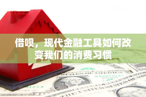 新民借呗，现代金融工具如何改变我们的消费习惯