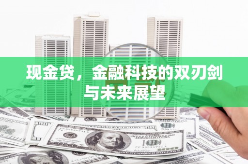 新民现金贷，金融科技的双刃剑与未来展望