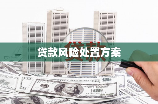 新民贷款风险处置方案
