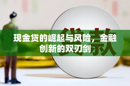 新民现金贷的崛起与风险，金融创新的双刃剑