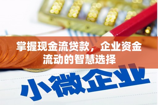 新民掌握现金流贷款，企业资金流动的智慧选择