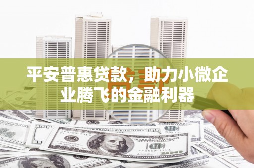 新民平安普惠贷款，助力小微企业腾飞的金融利器