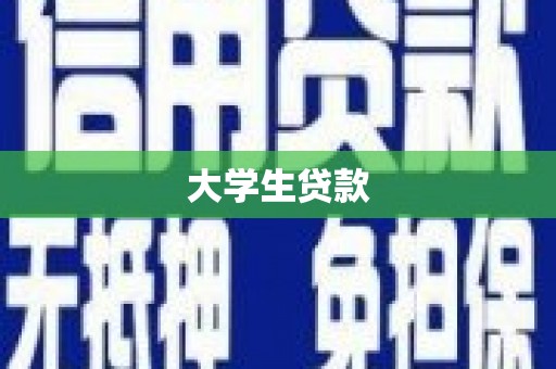 新民大学生贷款
