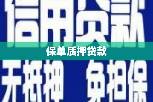 新民保单质押贷款
