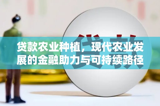 新民贷款农业种植，现代农业发展的金融助力与可持续路径