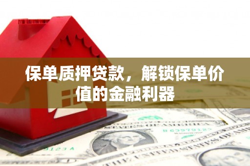 新民保单质押贷款，解锁保单价值的金融利器