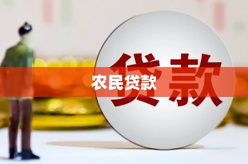 新民农民贷款