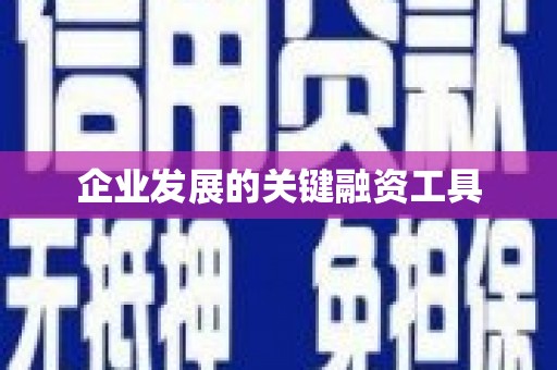 新民企业发展的关键融资工具