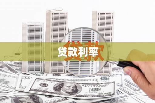 新民贷款利率