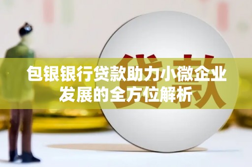 新民包银银行贷款助力小微企业发展的全方位解析