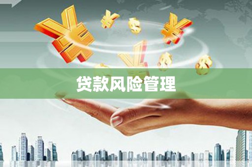 新民贷款风险管理