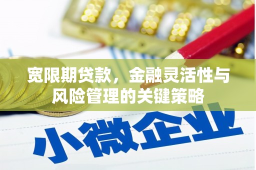 新民宽限期贷款，金融灵活性与风险管理的关键策略
