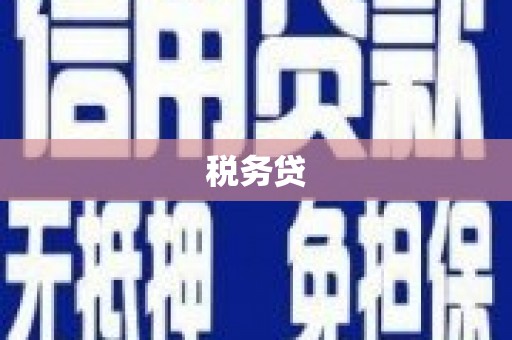 新民税务贷