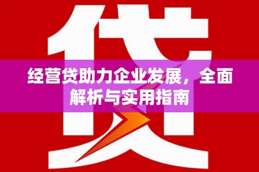 新民经营贷助力企业发展，全面解析与实用指南