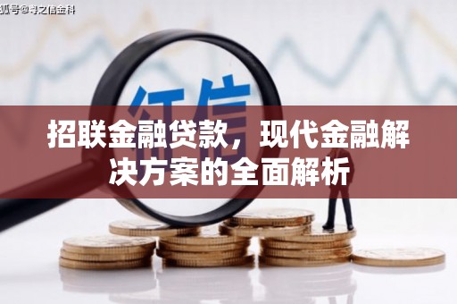 新民招联金融贷款，现代金融解决方案的全面解析