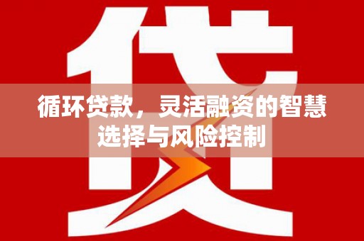 新民循环贷款，灵活融资的智慧选择与风险控制