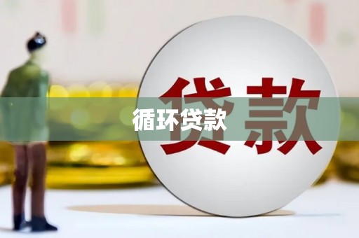 新民循环贷款