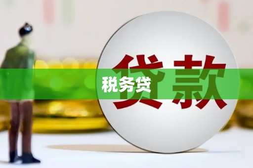 新民税务贷