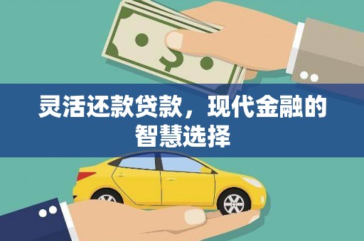 新民灵活还款贷款，现代金融的智慧选择