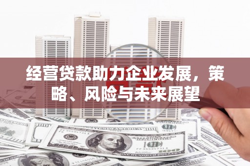 新民经营贷款助力企业发展，策略、风险与未来展望