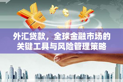 新民外汇贷款，全球金融市场的关键工具与风险管理策略