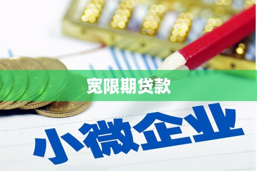 新民宽限期贷款