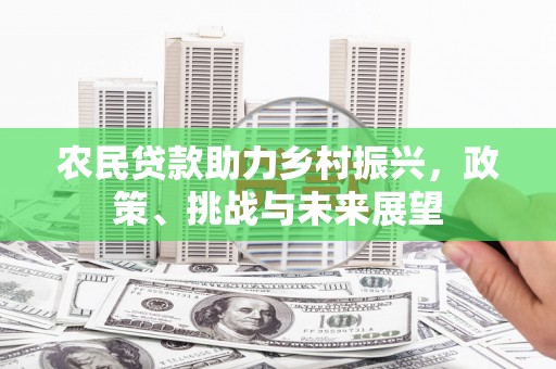 新民农民贷款助力乡村振兴，政策、挑战与未来展望