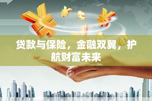 新民贷款与保险，金融双翼，护航财富未来