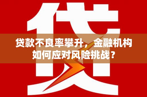 新民贷款不良率攀升，金融机构如何应对风险挑战？