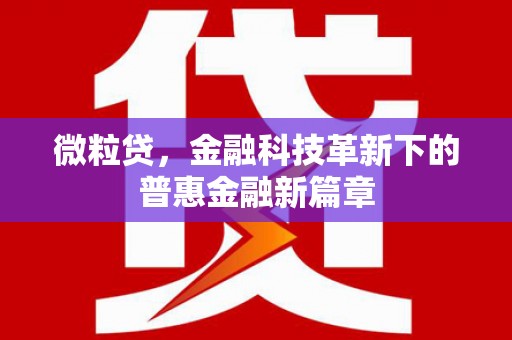 新民微粒贷，金融科技革新下的普惠金融新篇章