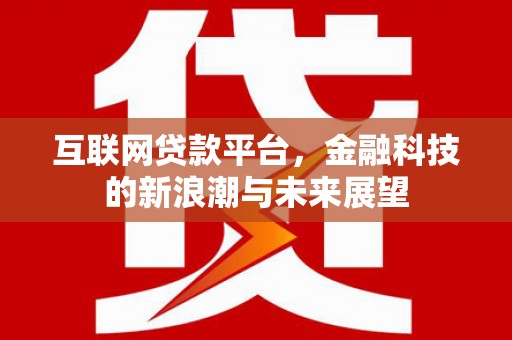 新民互联网贷款平台，金融科技的新浪潮与未来展望