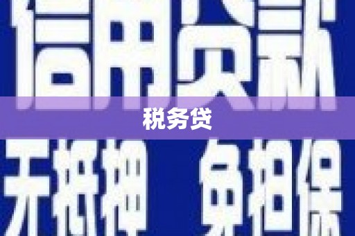 新民税务贷