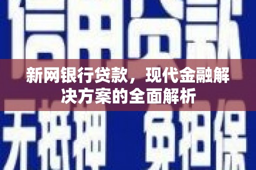 新民新网银行贷款，现代金融解决方案的全面解析