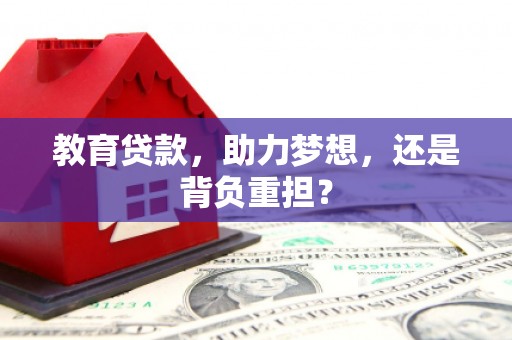 新民教育贷款，助力梦想，还是背负重担？