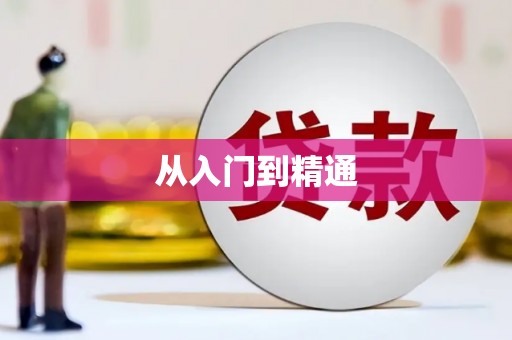 新民从入门到精通