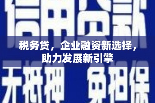 新民税务贷，企业融资新选择，助力发展新引擎