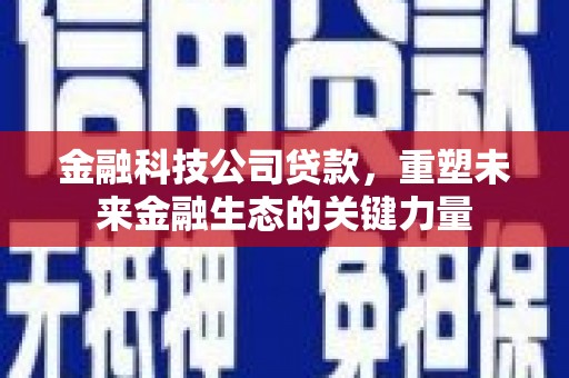 新民金融科技公司贷款，重塑未来金融生态的关键力量