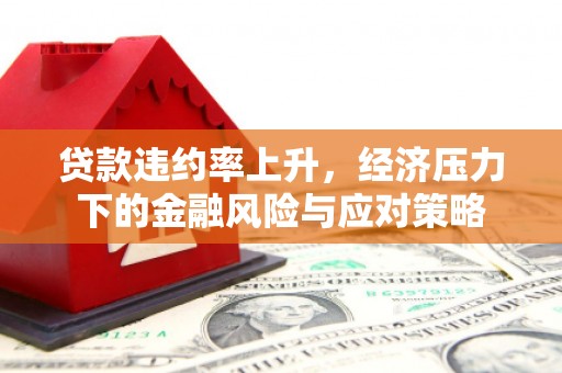 新民贷款违约率上升，经济压力下的金融风险与应对策略