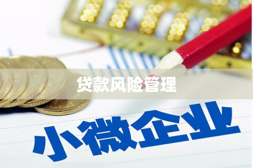 新民贷款风险管理