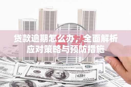 新民贷款逾期怎么办，全面解析应对策略与预防措施