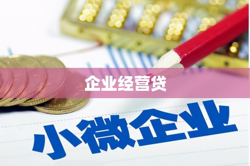 新民企业经营贷