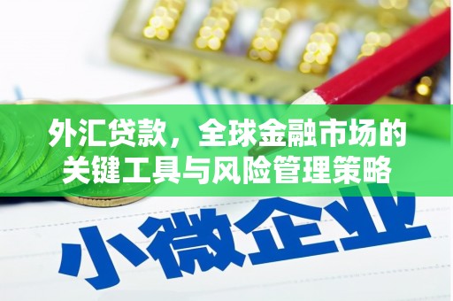 新民外汇贷款，全球金融市场的关键工具与风险管理策略